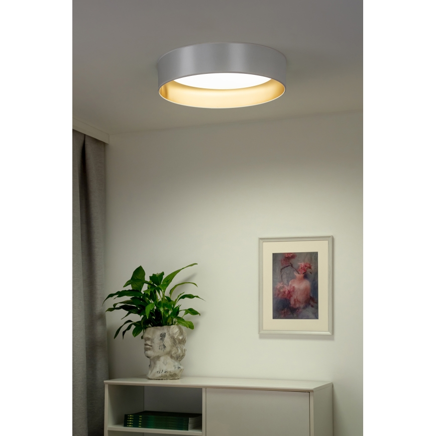 Duolla - LED Ceiling light ROLLER LED/24W/230V d. 45 cm silver/gold