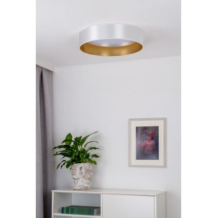 Duolla - LED Ceiling light ROLLER LED/24W/230V d. 45 cm silver/gold