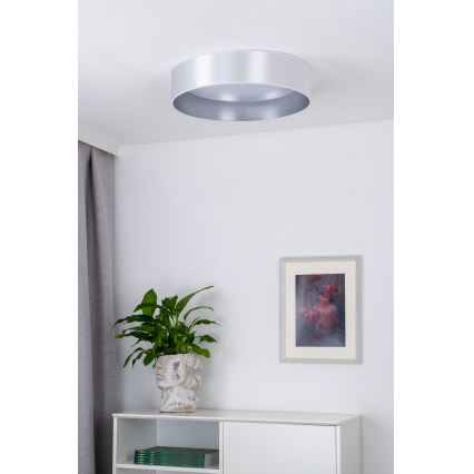 Duolla - LED Ceiling light ROLLER LED/24W/230V d. 45 cm silver