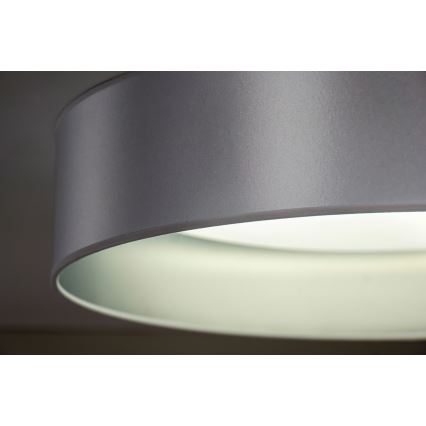 Duolla - LED Ceiling light ROLLER LED/24W/230V d. 45 cm silver