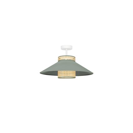 Duolla - Surface-mounted chandelier RIO RATTAN 1xE27/15W/230V d. 45 cm green/rattan
