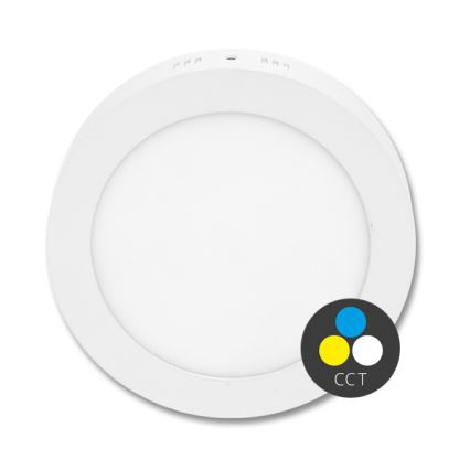 LED Ceiling light LADA LED/12W/230V 3000/4000/6000K d. 17 cm white