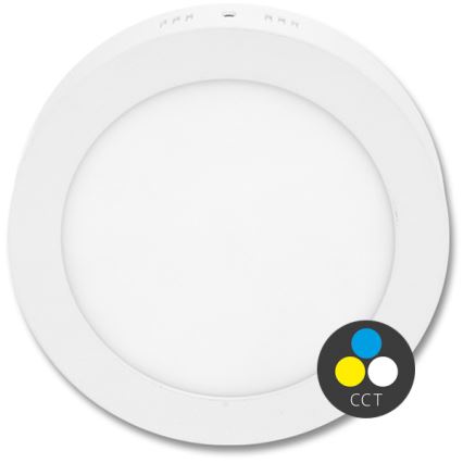 LED Ceiling light LADA LED/25W/230V 3000/4000/6000K d. 30 cm white