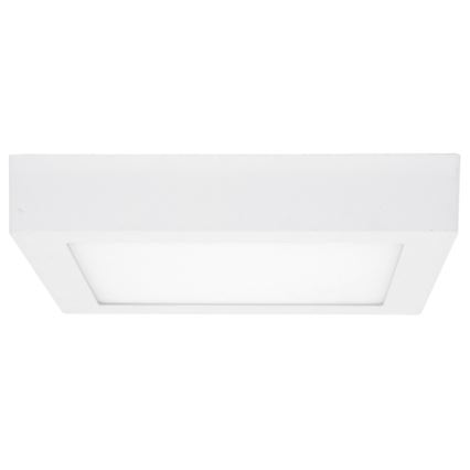 LED Ceiling light RAFA LED/12W/230V 3000/4000/6000K 17x17 cm white