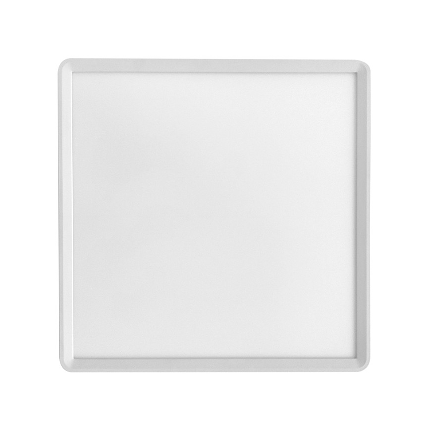 LED Ceiling light TERY LED/24W/230V 3000/4000/6000K 30x30 cm IP40 white