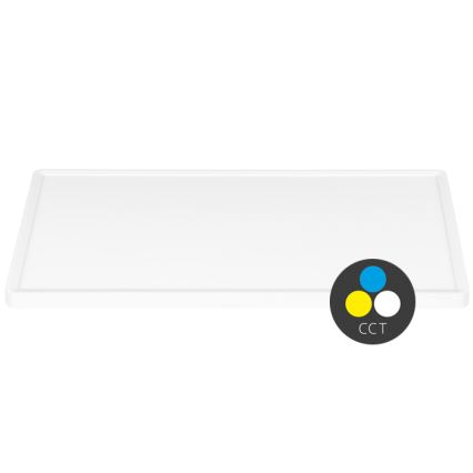 LED Ceiling light TERY LED/50W/230V 3000/4000/6000K 90x60 cm IP40 white