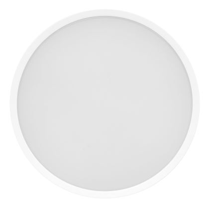 LED Outdoor ceiling light MARTIN LED/25W/230V 3000/4000K d. 35 cm IP65 white