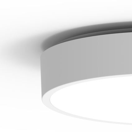 LED Outdoor ceiling light MARTIN LED/25W/230V 3000/4000K d. 35 cm IP65 white