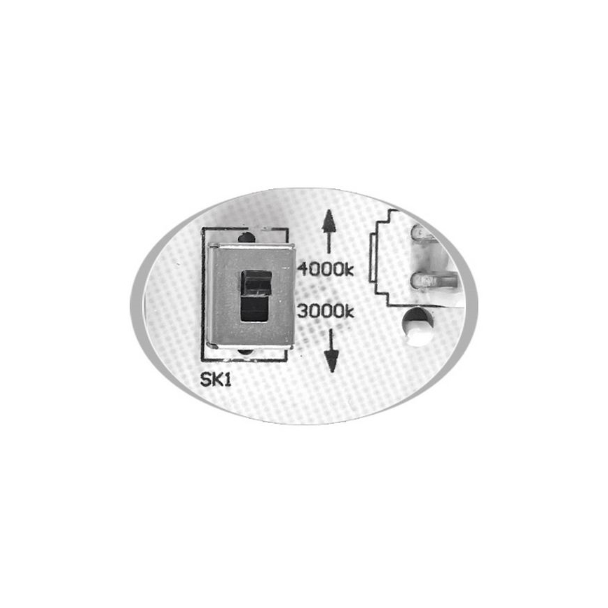 LED Outdoor ceiling light MARTIN LED/25W/230V 3000/4000K d. 35 cm IP65 white