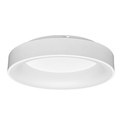 LED Dimmable ceiling light NEST LED/40W/230V 3000-6500K white