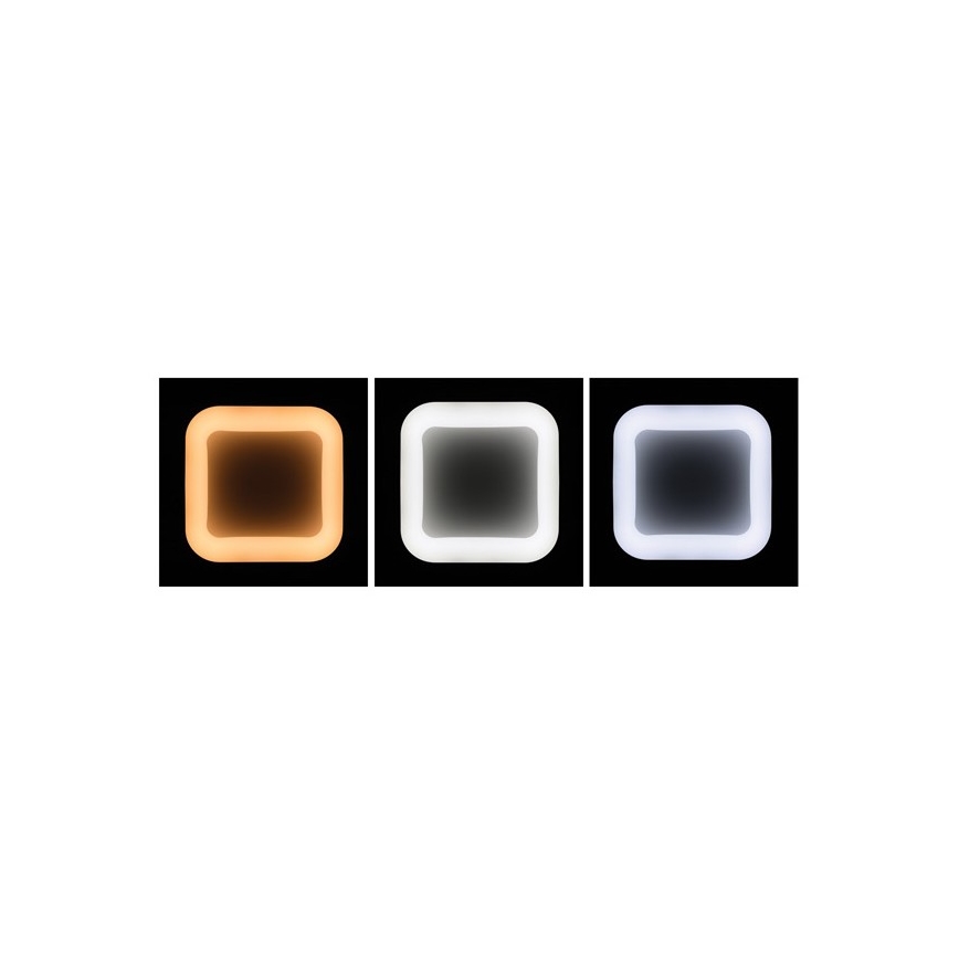 LED Dimmable chandelier on a string NEST LED/40W/230V 3000-6500K grey + remote control