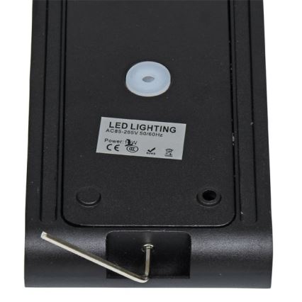 LED Outdoor wall light BRICK 2xLED/6W/230V 3000/4000/6500K IP65 black