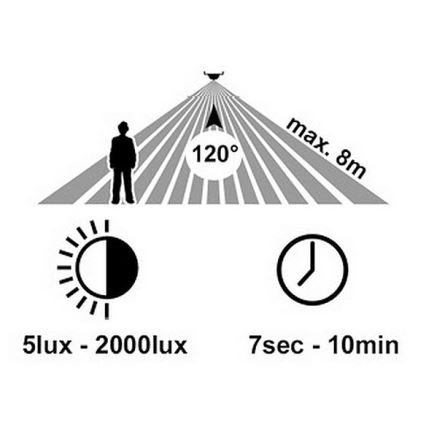 LED Outdoor wall light with a sensor RITA LED/12W/230V 4000K IP65