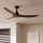 Eglo - 132 cm Ceiling Fan, Brown, with Remote Control