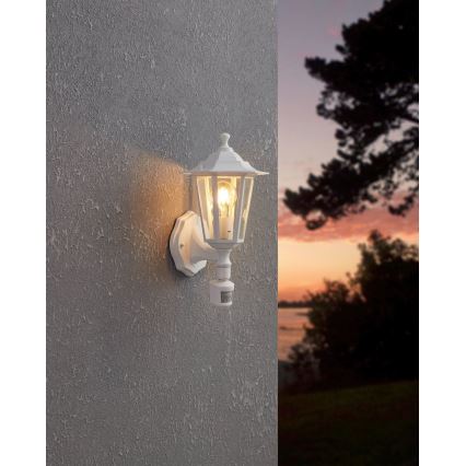 Eglo - Outdoor light with a sensor 1xE27/60W/230V