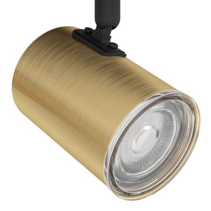 Eglo - Bathroom spotlight 2xGU10/5W/230V IP44 black/gold