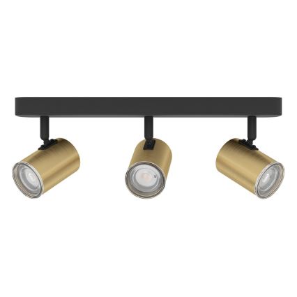 Eglo - Bathroom spotlight 3xGU10/5W/230V IP44 black/gold