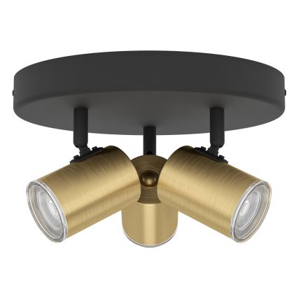 Eglo - Bathroom spotlight 3xGU10/5W/230V IP44 black/gold