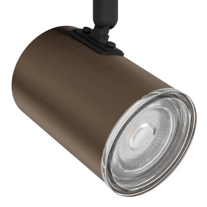 Eglo - Bathroom spotlight 3x GU10/5W/230V IP44 black/brown