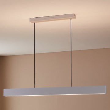 Eglo 31436 - LED RGBW Dimmable chandelier on a string ANDREAS-Z LED/38W/230V 2700-6500K white
