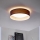 Eglo 31593 - LED Ceiling Light PASTERI LED/11W/230V