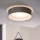 Eglo 31623 - MASERLO LED Ceiling Light, 16 W, 230 V, 3000 K, Ø 40.5 cm, gray/silver