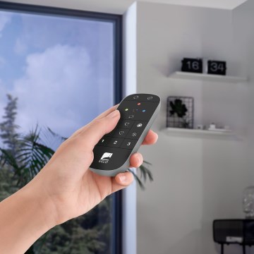 Eglo 31753 - Remote control CONNECT-Z 2xAAA Bluetooth