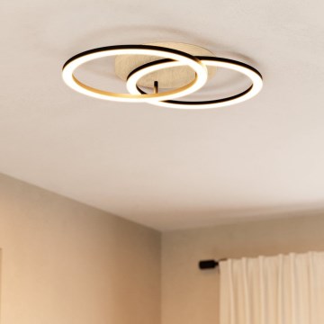 Eglo 31757 - LOMALTAS-Z LED ceiling light, 2xLED/16W/230V, 2700-6500K