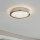 Eglo 32047 - LED Ceiling light AREZZO 2 LED/17,92W/230V
