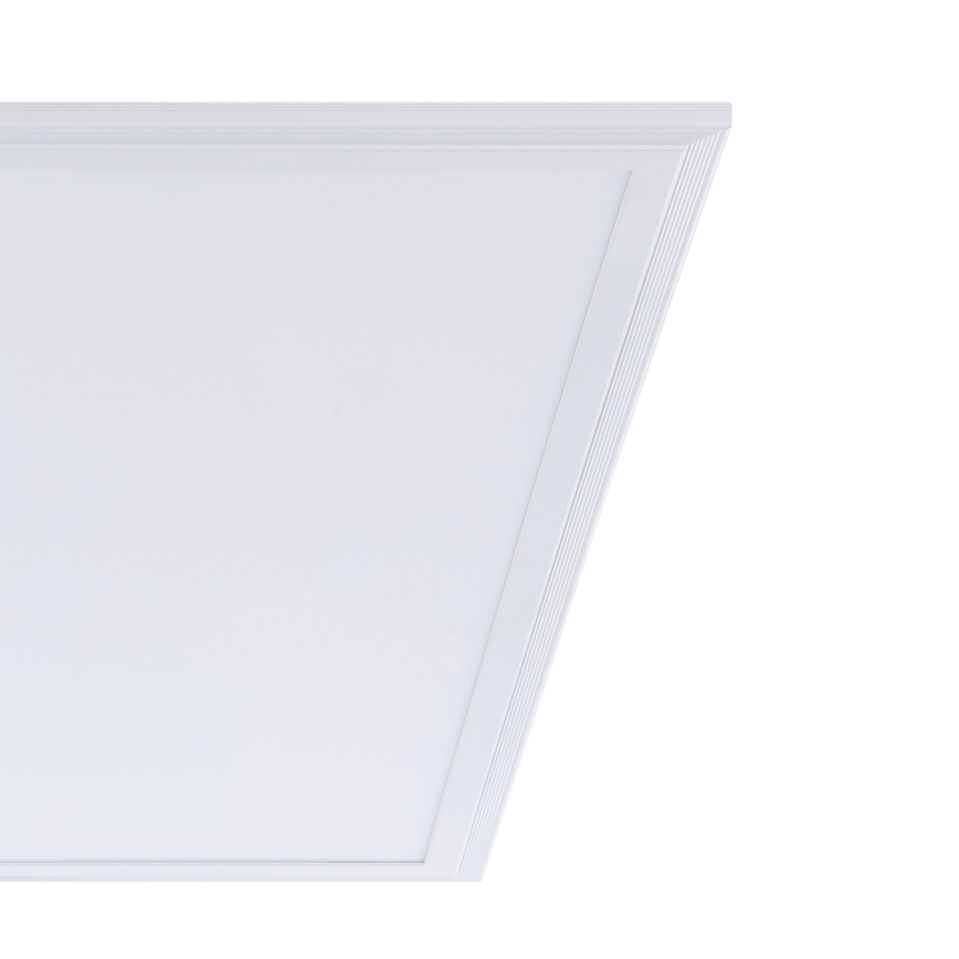 Eglo - LED Ceiling light LED/40W/230V