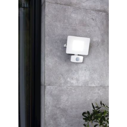 Eglo - LED flood light with sensor LED/20W/230V IP44