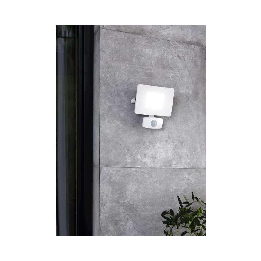 Eglo - LED flood light with sensor LED/20W/230V IP44