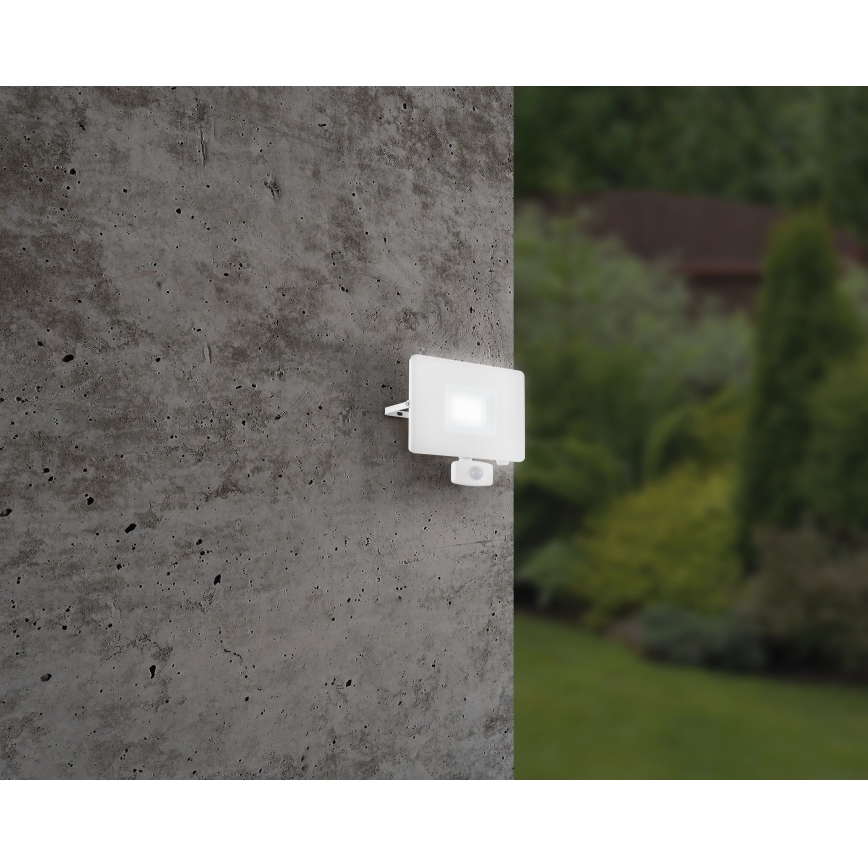 Eglo - LED flood light with sensor LED/50W/230V IP44