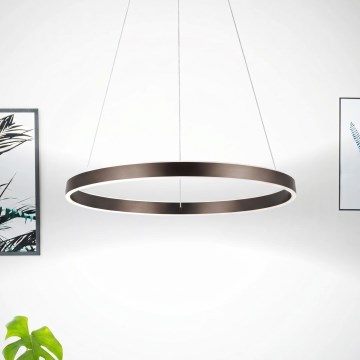 Eglo 33483 - ALCAZABA cable-suspended LED pendant, 2×LED/18W/230V, 3000K, Ø 55 cm, bronze