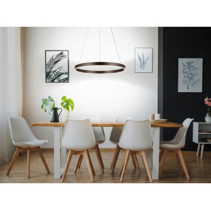 Eglo 33483 - ALCAZABA cable-suspended LED pendant, 2×LED/18W/230V, 3000K, Ø 55 cm, bronze