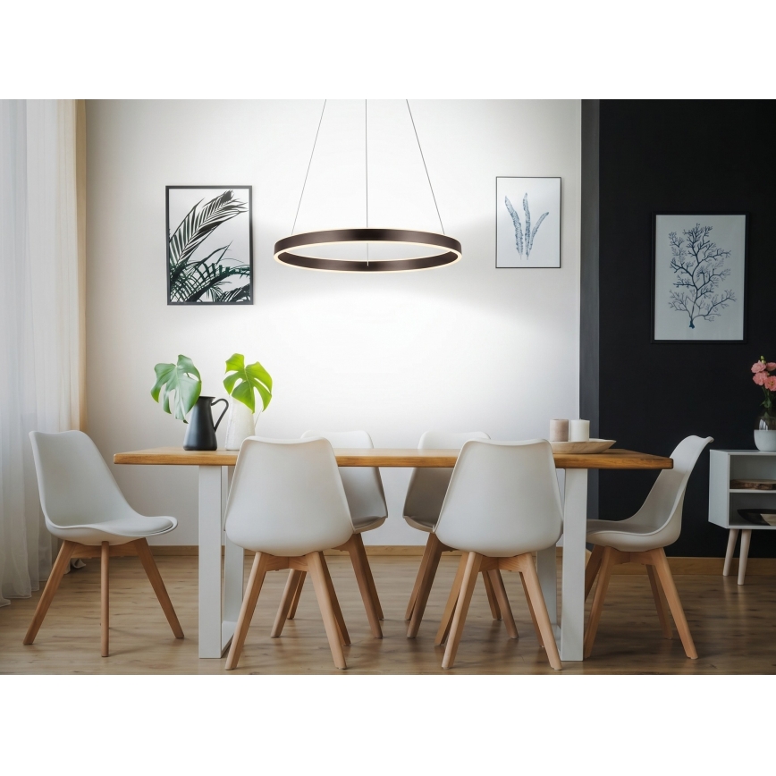 Eglo 33483 - ALCAZABA cable-suspended LED pendant, 2×LED/18W/230V, 3000K, Ø 55 cm, bronze