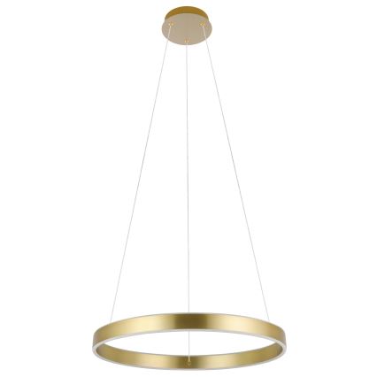 Eglo 33484 - LED pendant light on cable ALCAZABA 2xLED/18W/230V 3000K diameter 55 cm gold