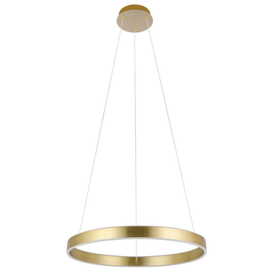 Eglo 33484 - LED pendant light on cable ALCAZABA 2xLED/18W/230V 3000K diameter 55 cm gold