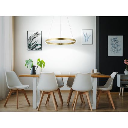 Eglo 33484 - LED pendant light on cable ALCAZABA 2xLED/18W/230V 3000K diameter 55 cm gold