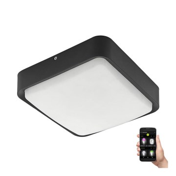 Eglo 33573 - LED Dimmable outdoor ceiling light PIOVE-C LED/14W/230V IP44