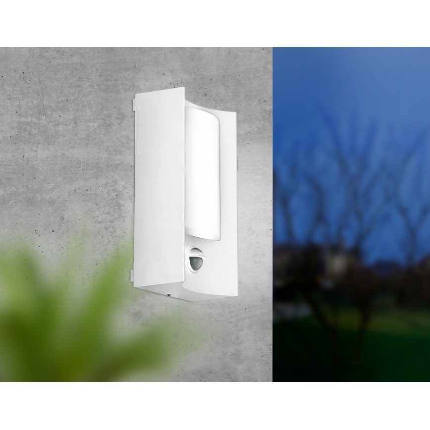 Eglo 34006 - LED Outdoor wall light with sensor CASILDA LED/6W/230V IP44
