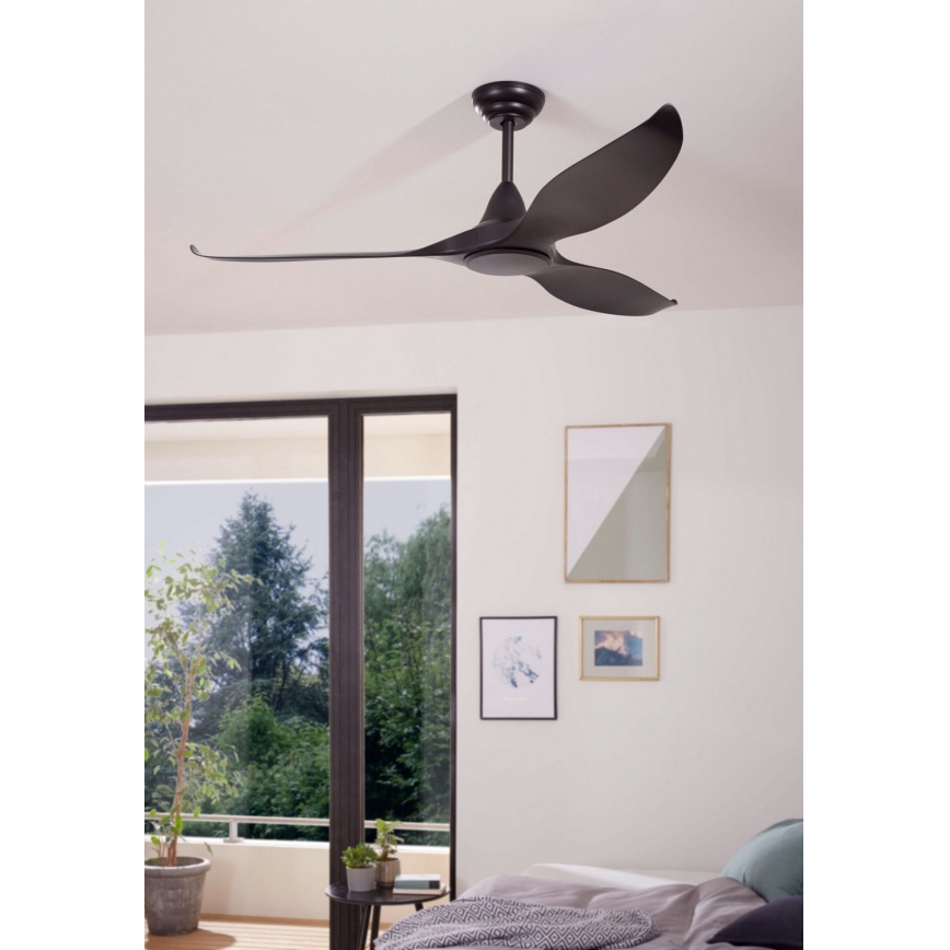 Eglo - Ceiling fan + Remote control