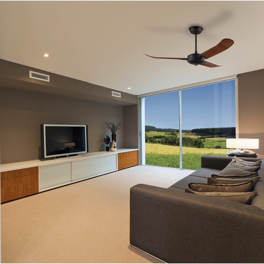 Eglo - Ceiling fan + RC