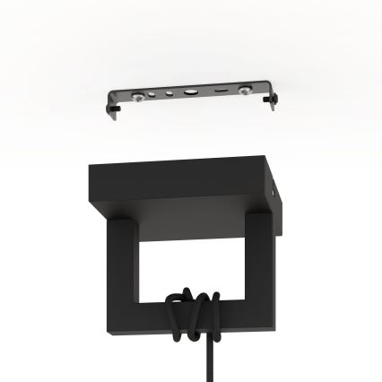 Eglo - Chandelier on a string 1xE27/40W/230V black