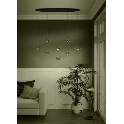 Eglo - LED Dimmable chandelier on a string 8xLED/4,2W/230V 3000K black