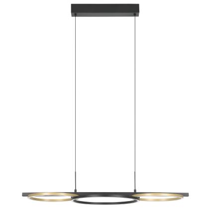 Eglo - LED Dimmable chandelier on a string 2xLED/12,5W/230V + LED/15,5W 3000K black