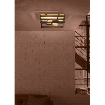 Eglo - Ceiling light 2xE27/40W/230V black/brown