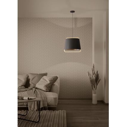 Eglo - Chandelier on a string 1xE27/40W/230V black