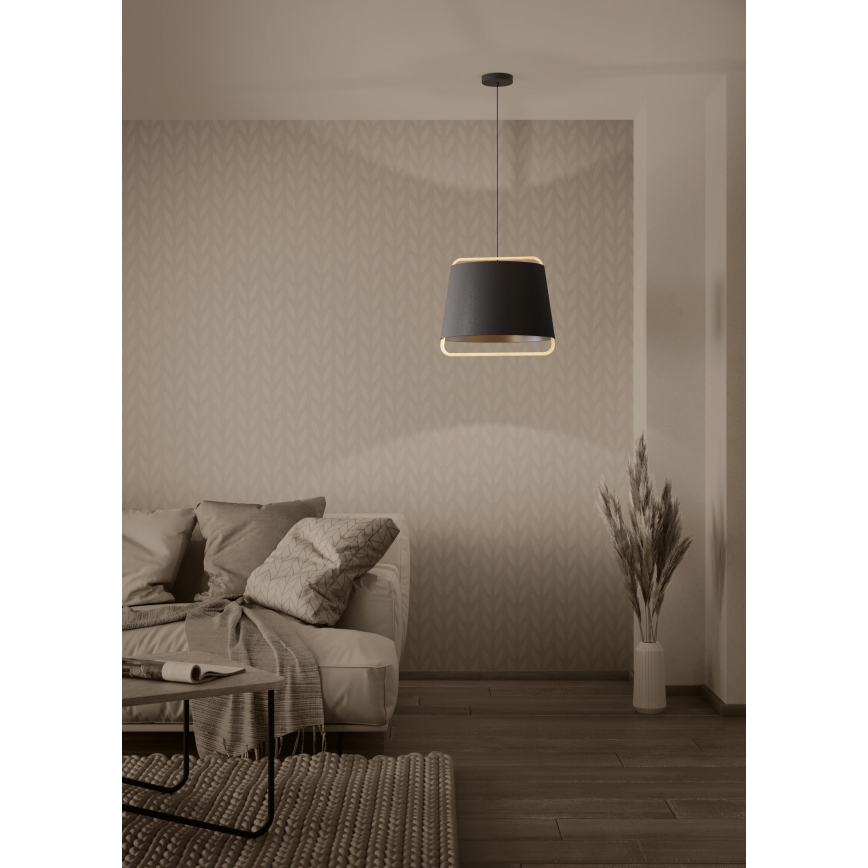 Eglo - Chandelier on a string 1xE27/40W/230V black