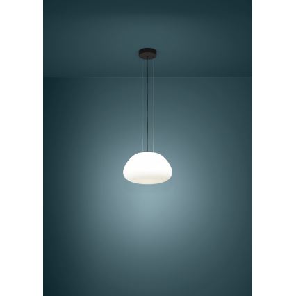 Eglo - Chandelier on a string 1xE27/40W/230V black